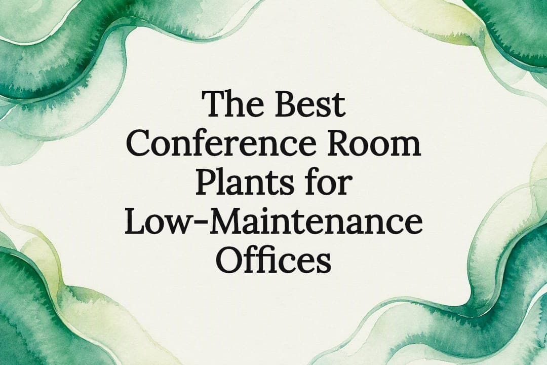 The Best Conference Room Plants for Low-Maintenance Offices
