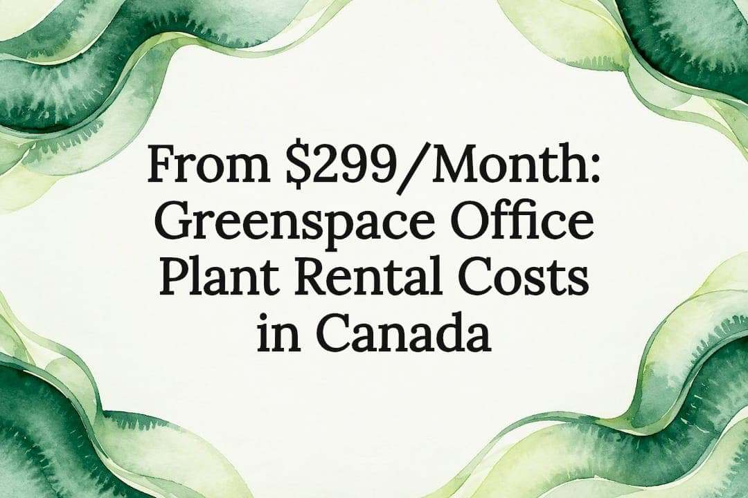 From $299/Month: Greenspace Office Plant Rental Costs in Canada
