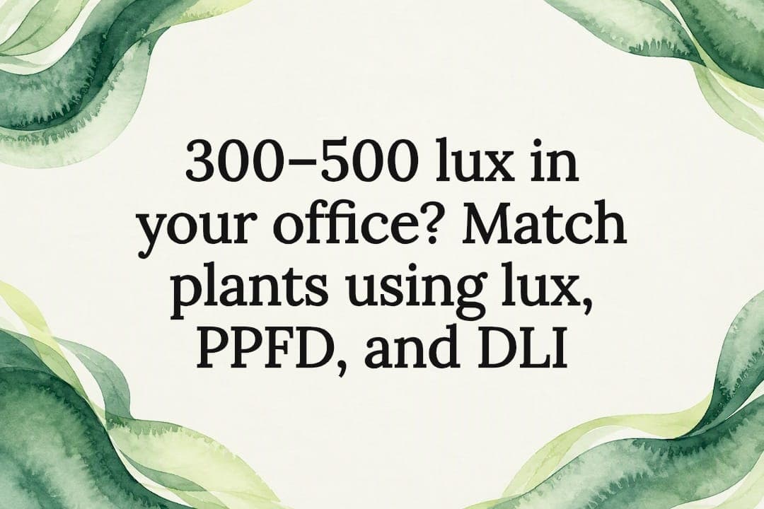 300–500 lux in your office? Match plants using lux, PPFD, and DLI