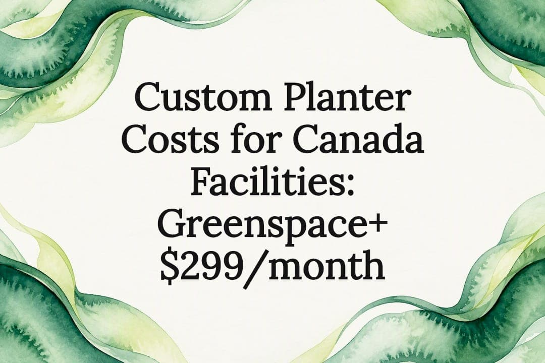 Custom Planter Costs for Canada Facilities: Greenspace+ $299/month