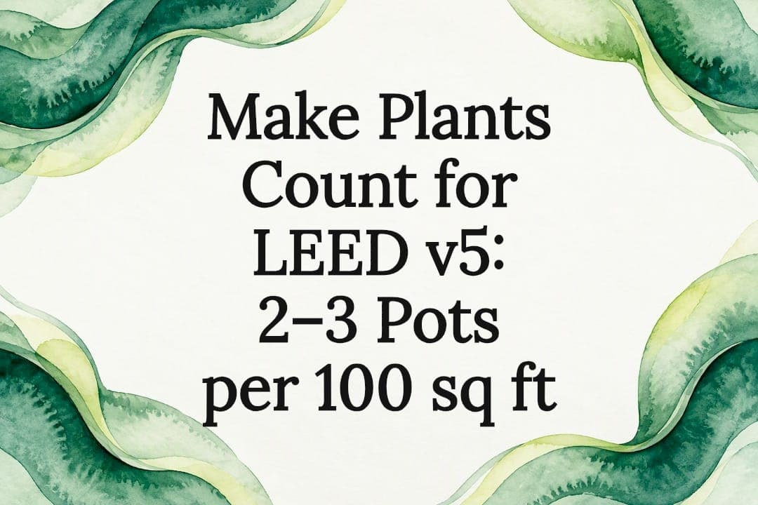 Make Plants Count for LEED v5: 2–3 Pots per 100 sq ft