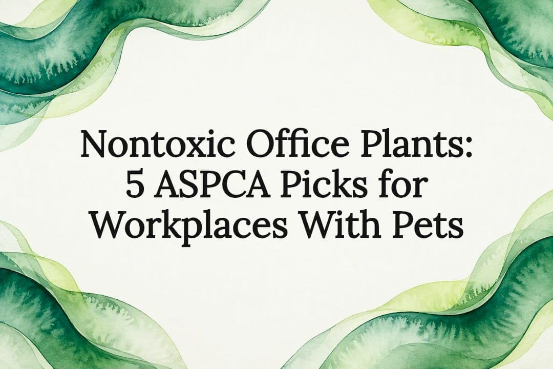 Nontoxic Office Plants: 5 ASPCA Picks for Workplaces With Pets